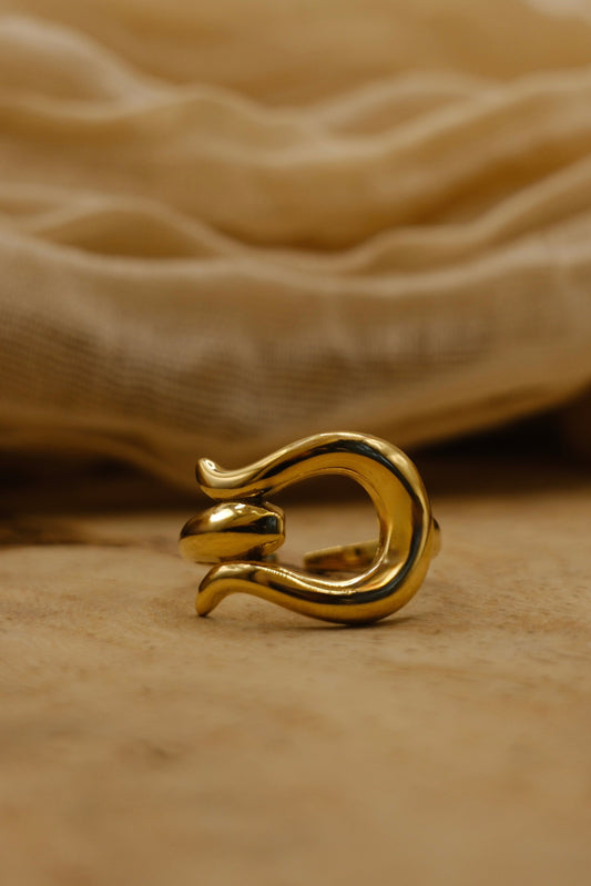 Buckle Ring