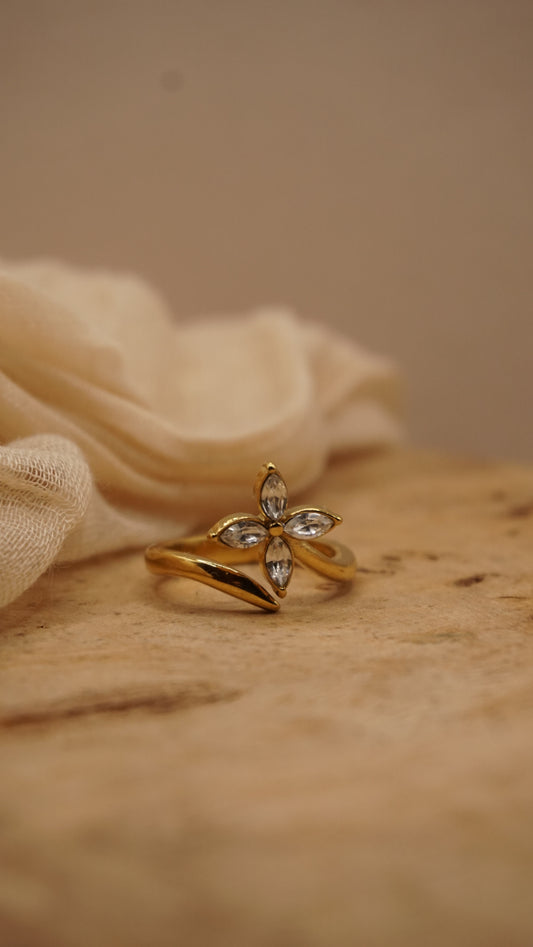 Dianna Ring