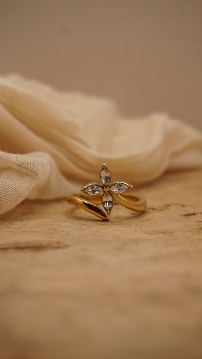 Dianna Ring