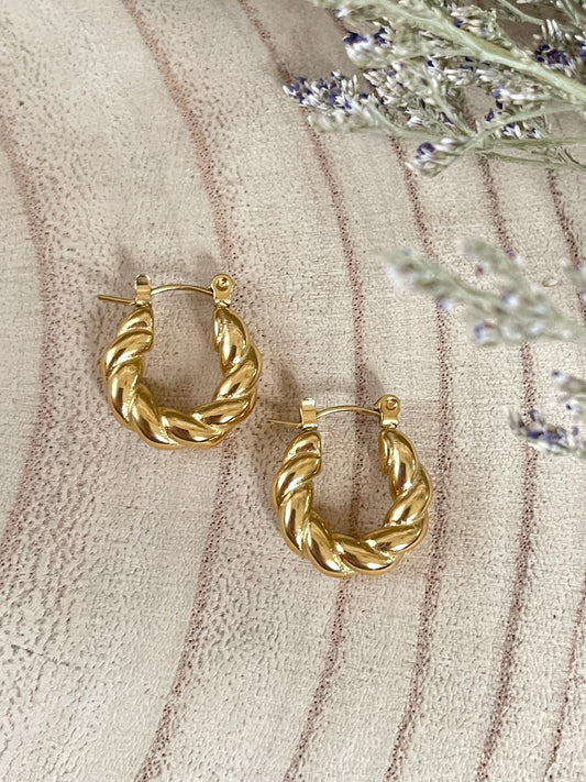 Twisted Hoop Earrings