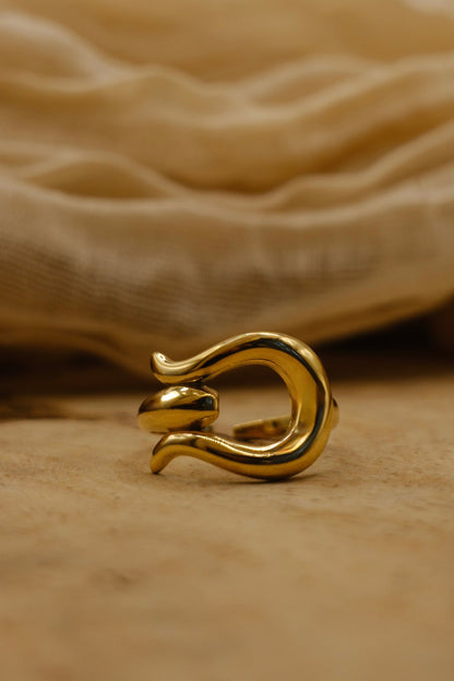 Buckle Ring