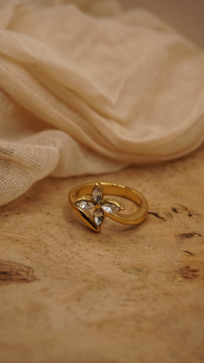 Dianna Ring