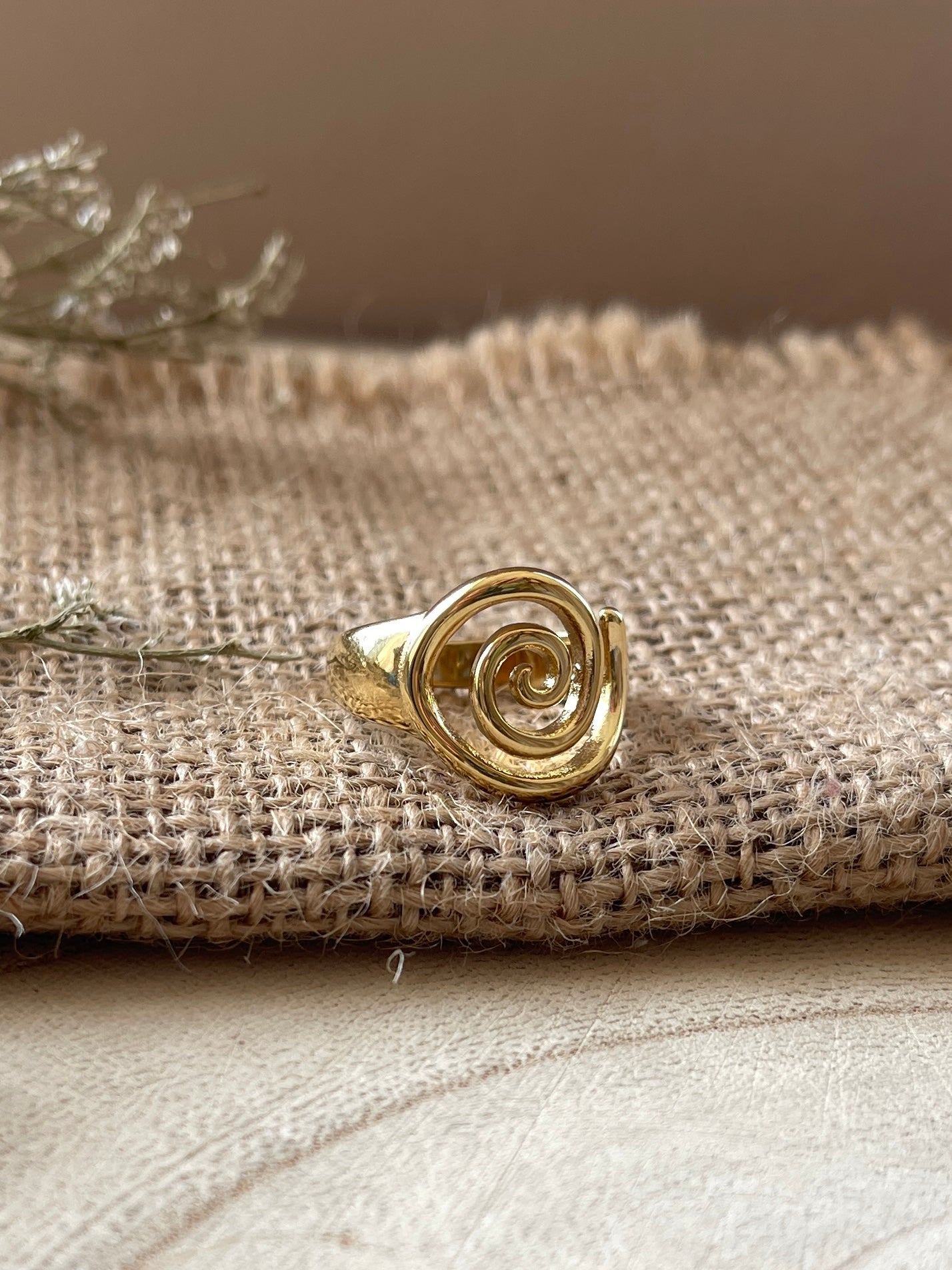 Integrated Swirl Ring | 18K Gold Plated | Stainless Steel