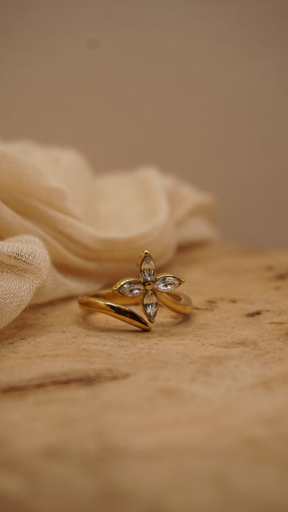 Dianna Ring
