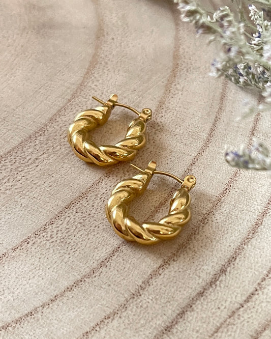 Twisted Hoop Earrings